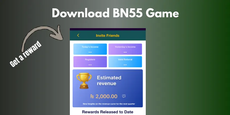 bn55 game